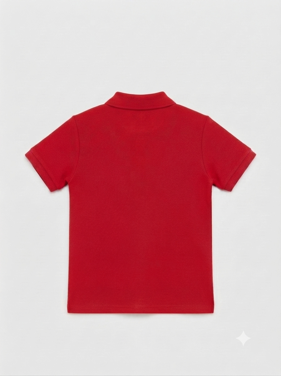t-shirt Polo Classique : L'élégance en plusieurs couleurs – Image 7